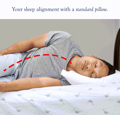 Dosaze Contoured Orthopedic Pillow